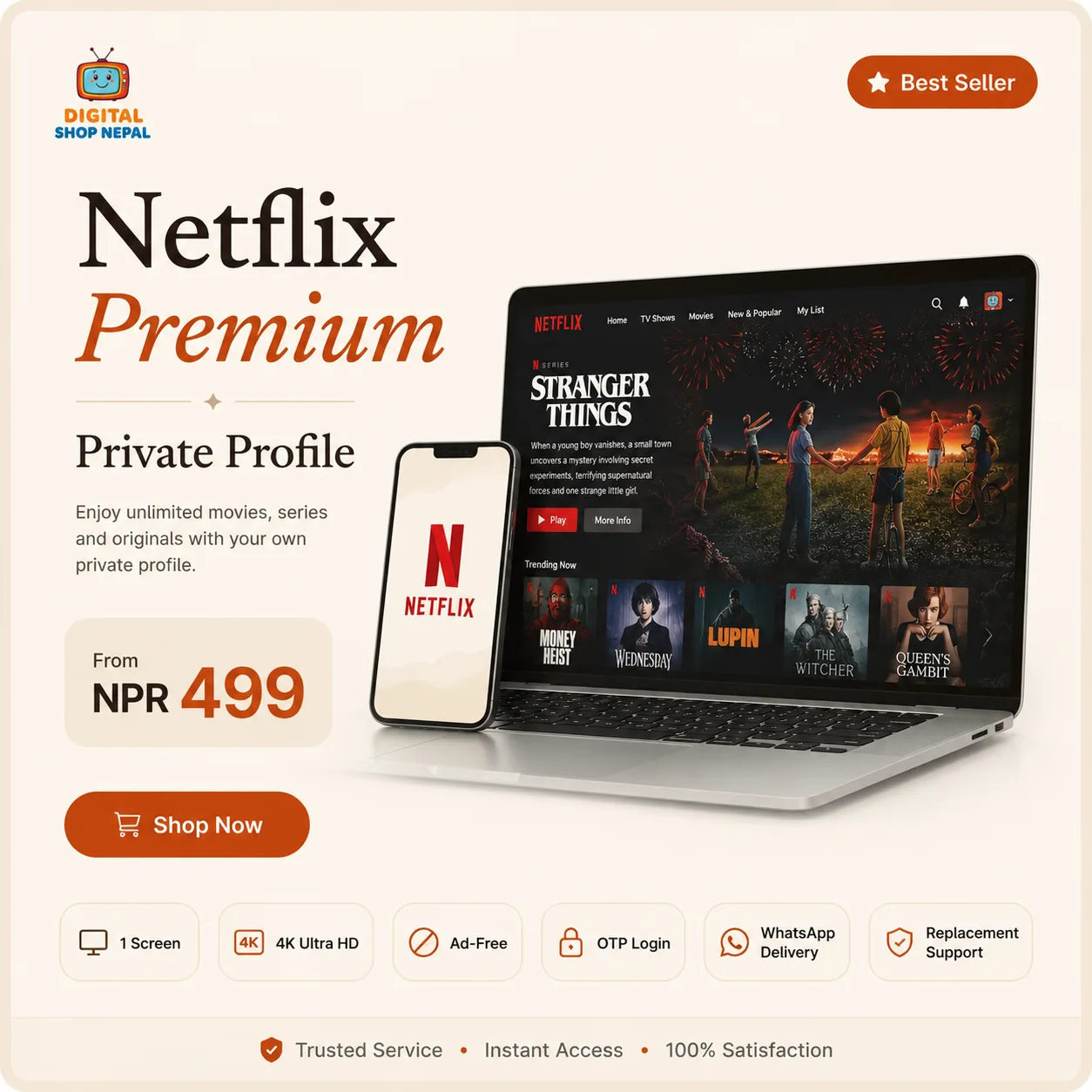 Netflix Premium Private Profile